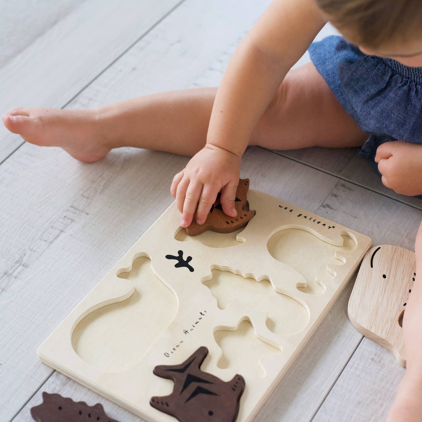 Wooden Tray Puzzle - Ocean Animals - 2nd Edition