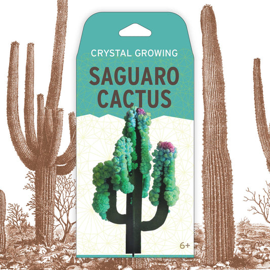 Crystal Growing Saguaro Cactus |
Craft Kit Science Kit