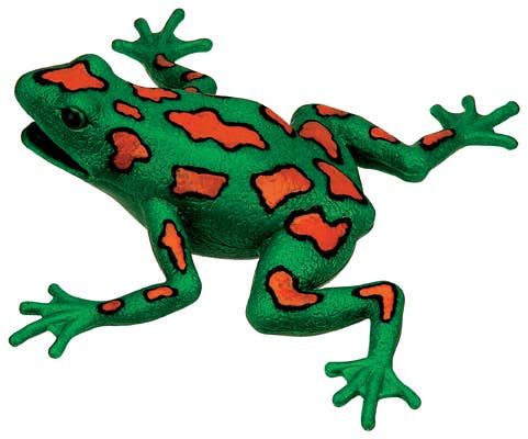 Frog Squishimal