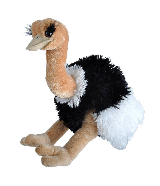 CK Ostrich Stuffed Animal - 12"