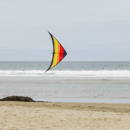 Sunset 55" Sport Kite