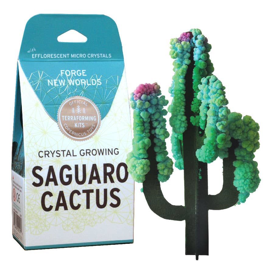 Crystal Growing Saguaro Cactus |
Craft Kit Science Kit