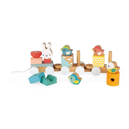 Pure | Train | Pull along | 17 pieces