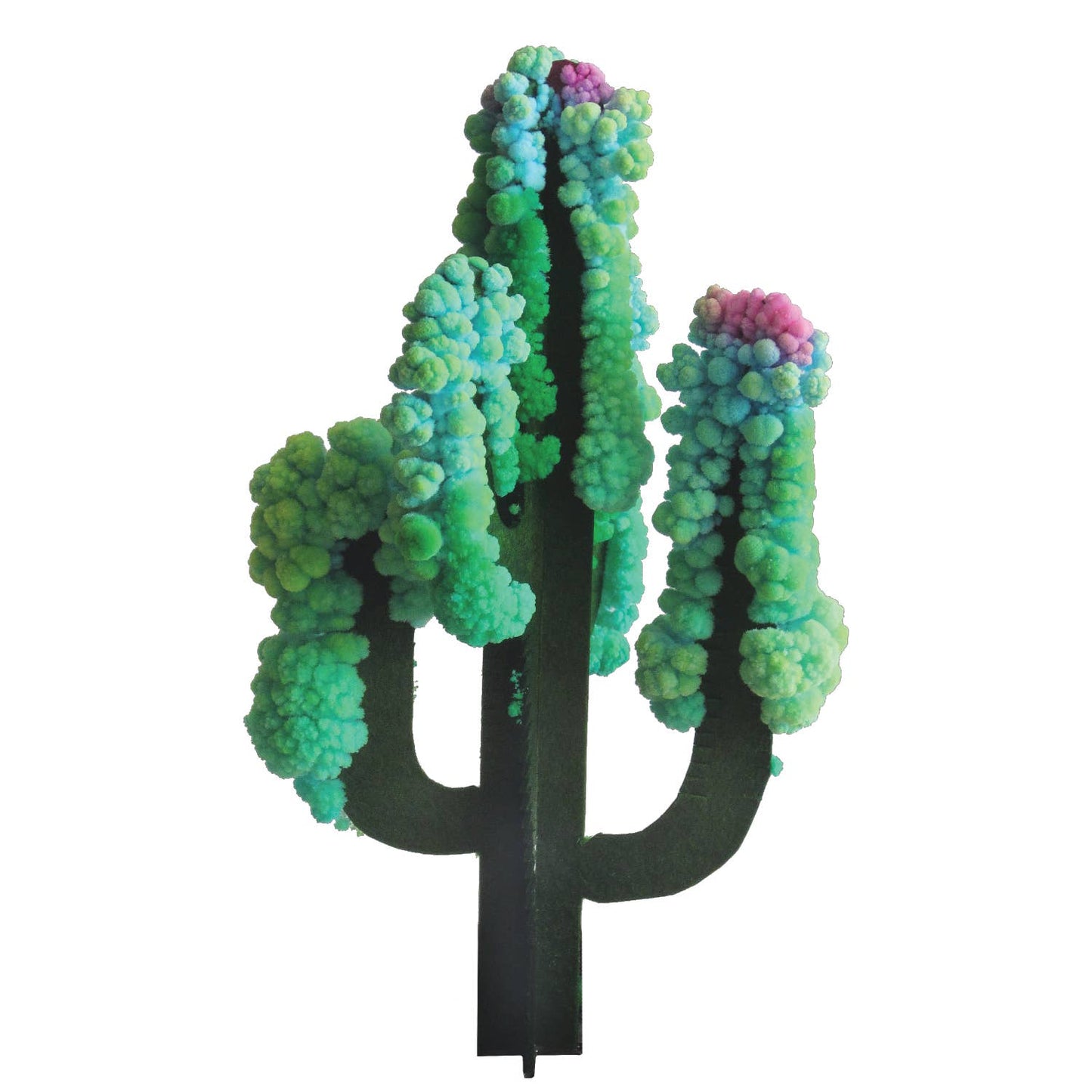 Crystal Growing Saguaro Cactus |
Craft Kit Science Kit