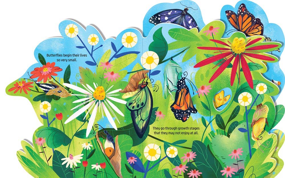 Beautiful Butterflies