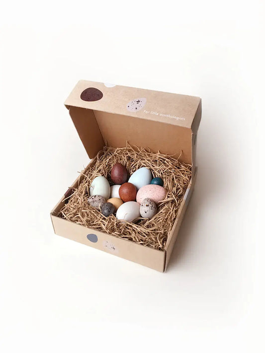Hand-Painted Dozen Bird Eggs in a Box