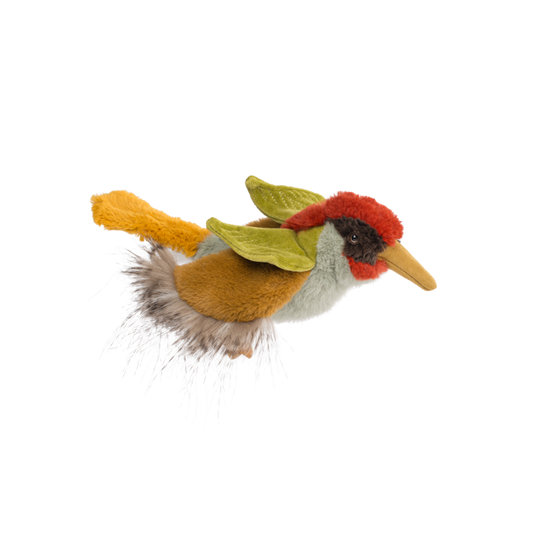 Green woodpecker - All Around the World