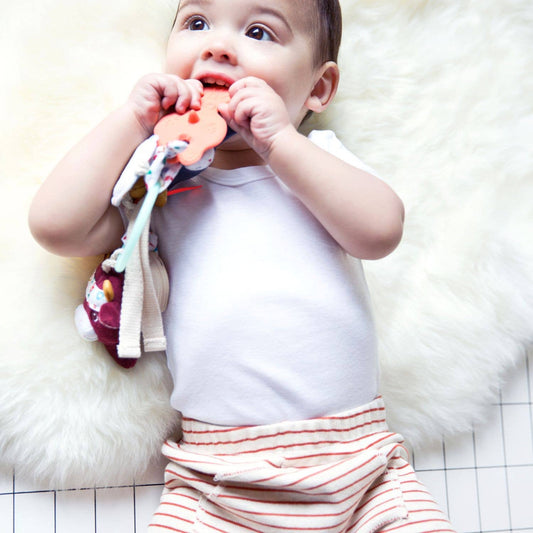 Farm Sensory Keyring