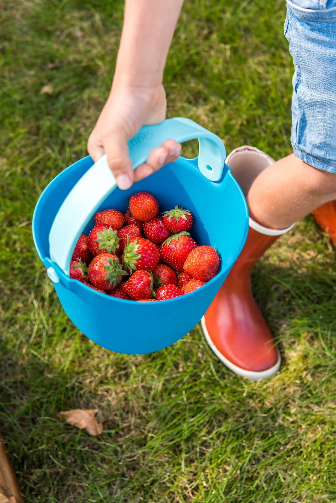 Bucki - Bucket & Sand Sifter. Cherry