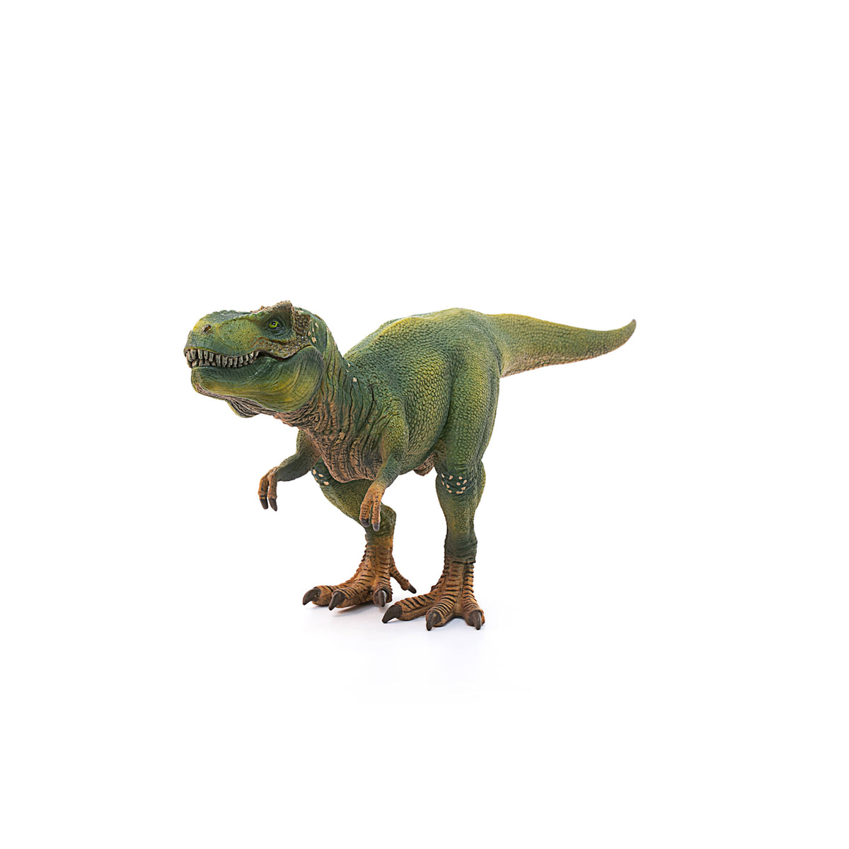 Tyrannosaurus Rex