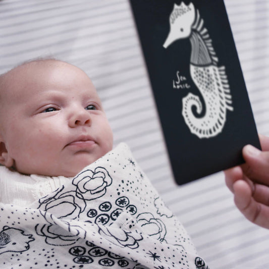 Art Cards for Baby - Ocean