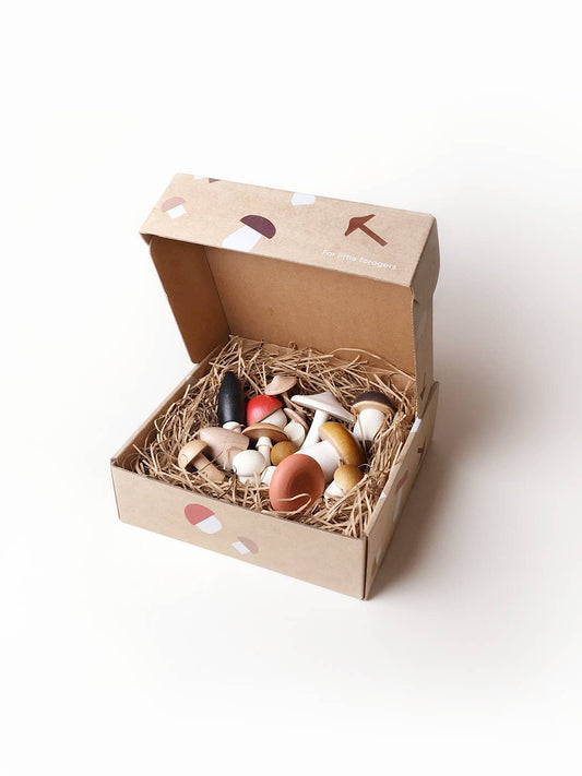 Wooden Forest Mushrooms In a Box