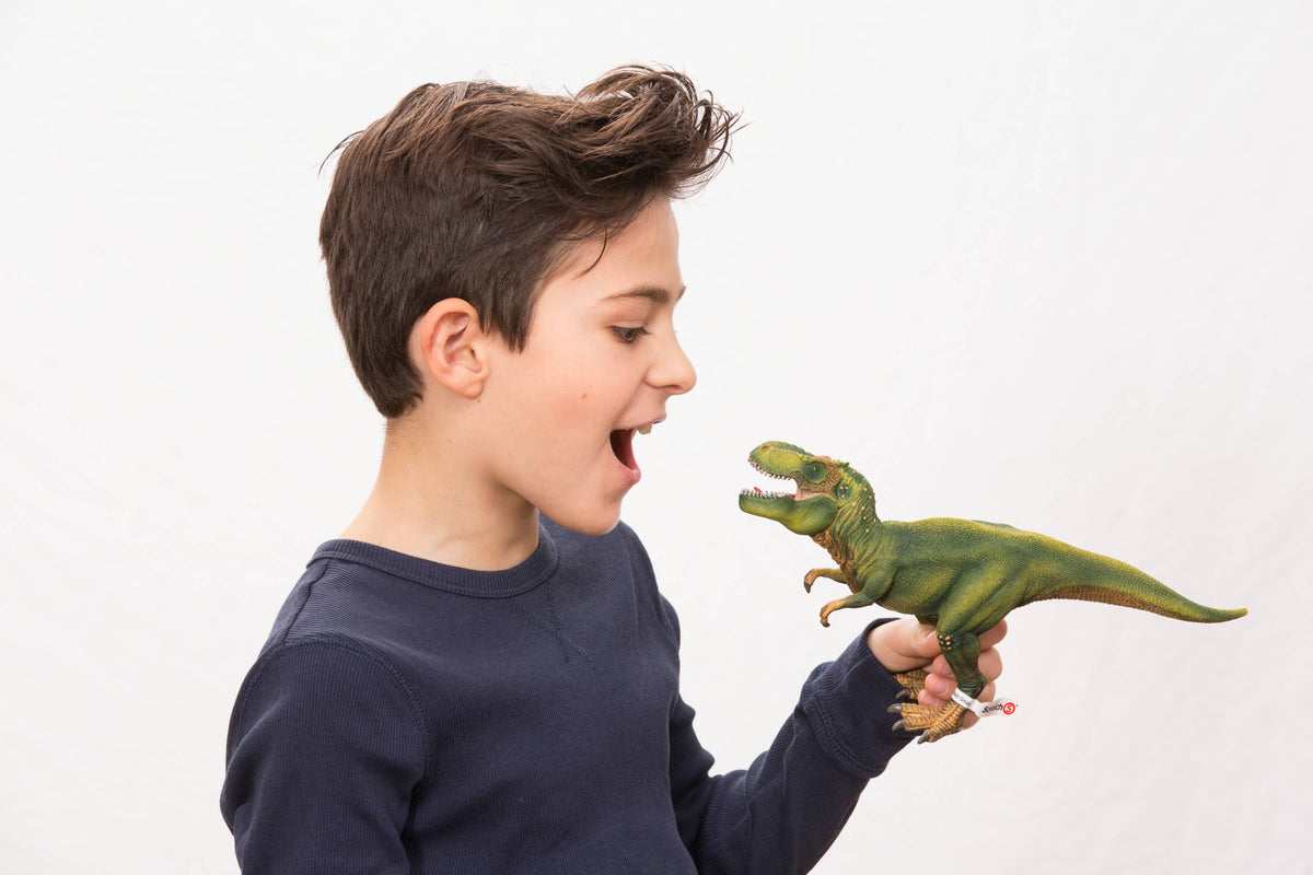 Tyrannosaurus Rex