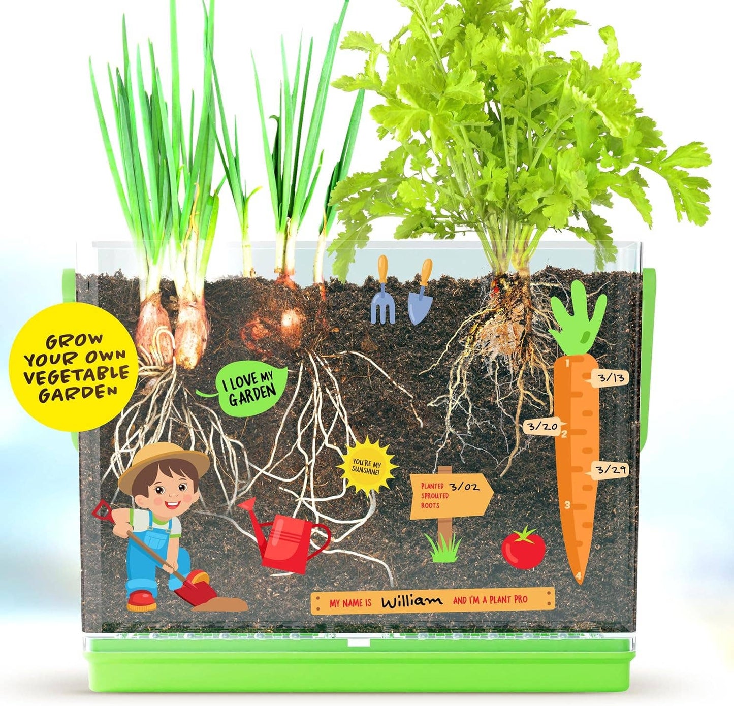 Root Viewer Kit