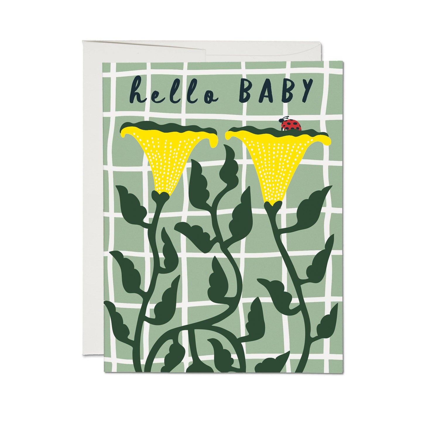 Ladybug Baby greeting card: Single
