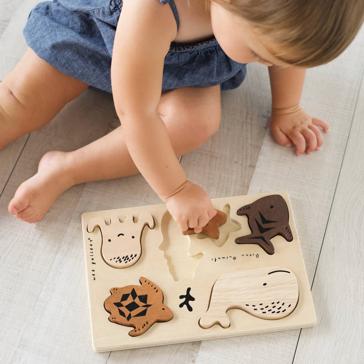 Wooden Tray Puzzle - Ocean Animals - 2nd Edition