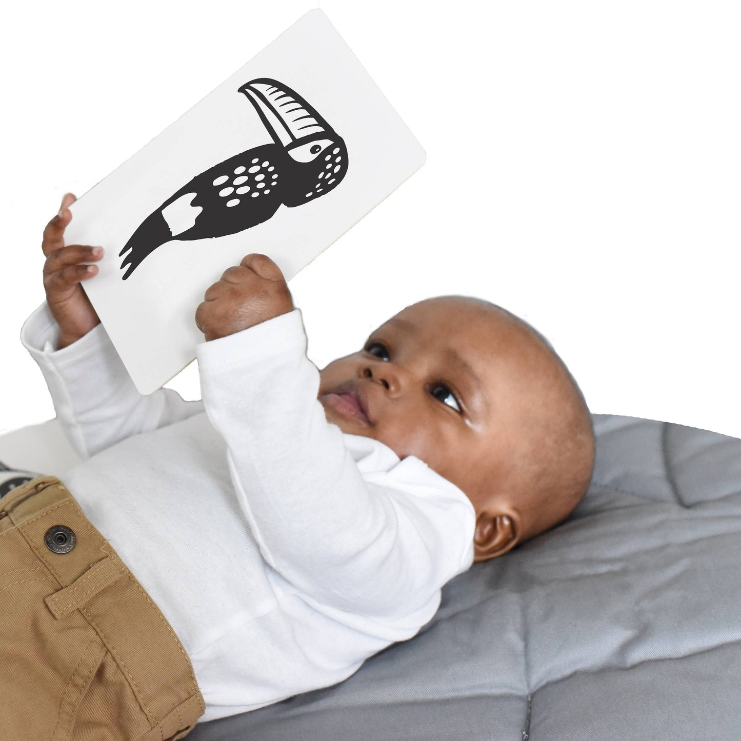 Art Cards for Baby - Rainforest