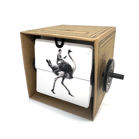 Fliposcope Ostrich - DIY FlipBook Keepsake / Movie Machine