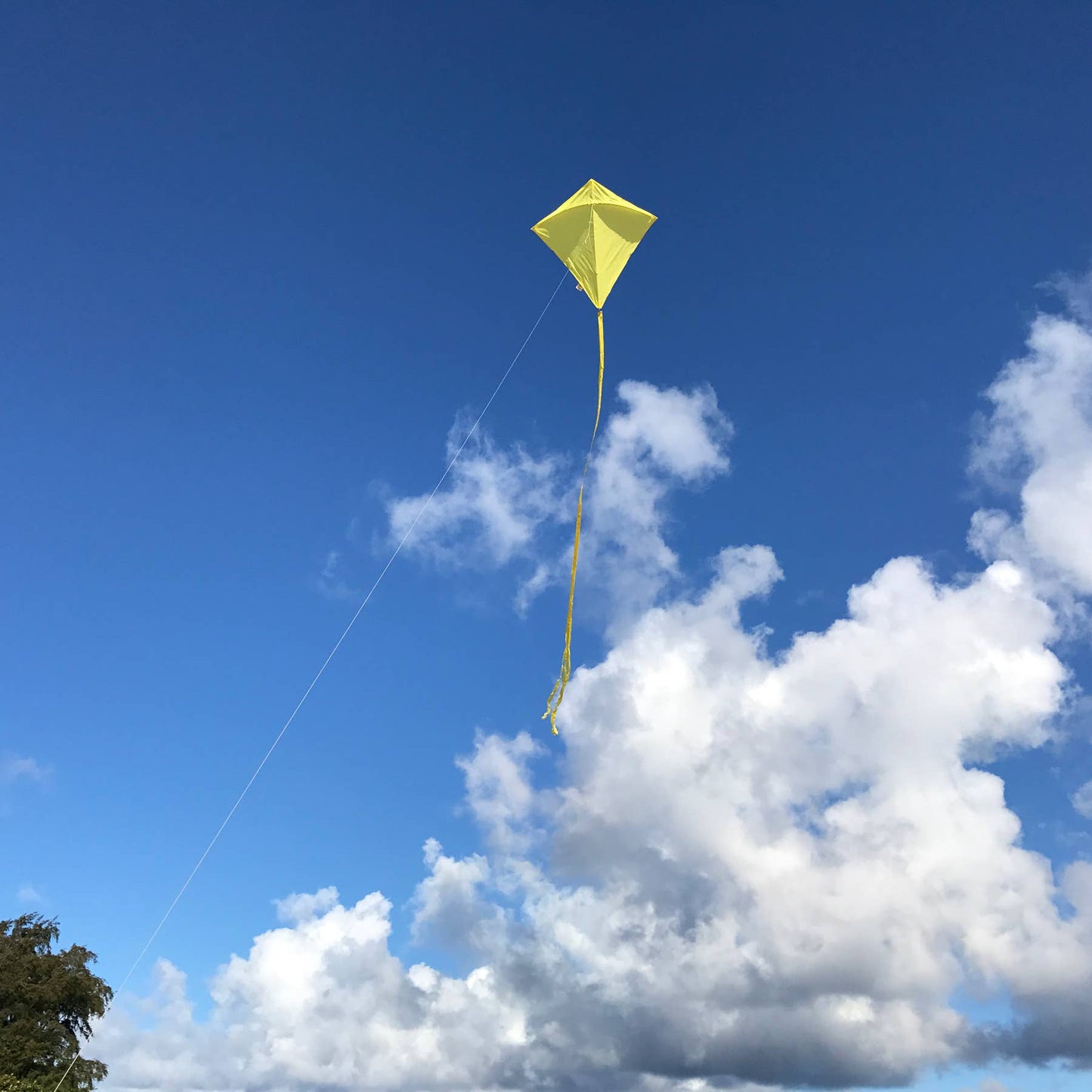 Yellow Colorfly 30" Diamond Kite