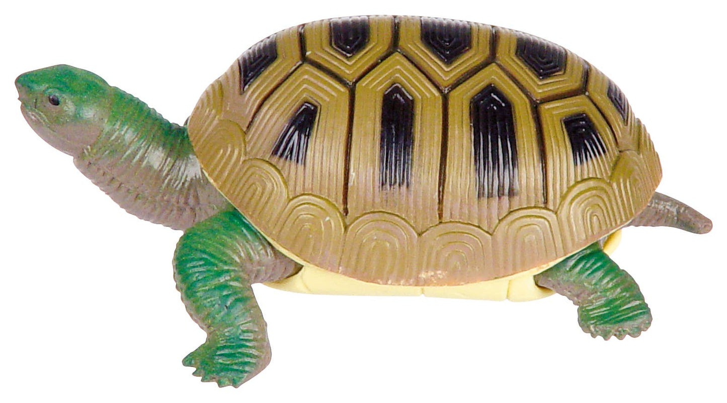 Turtle Squishamal