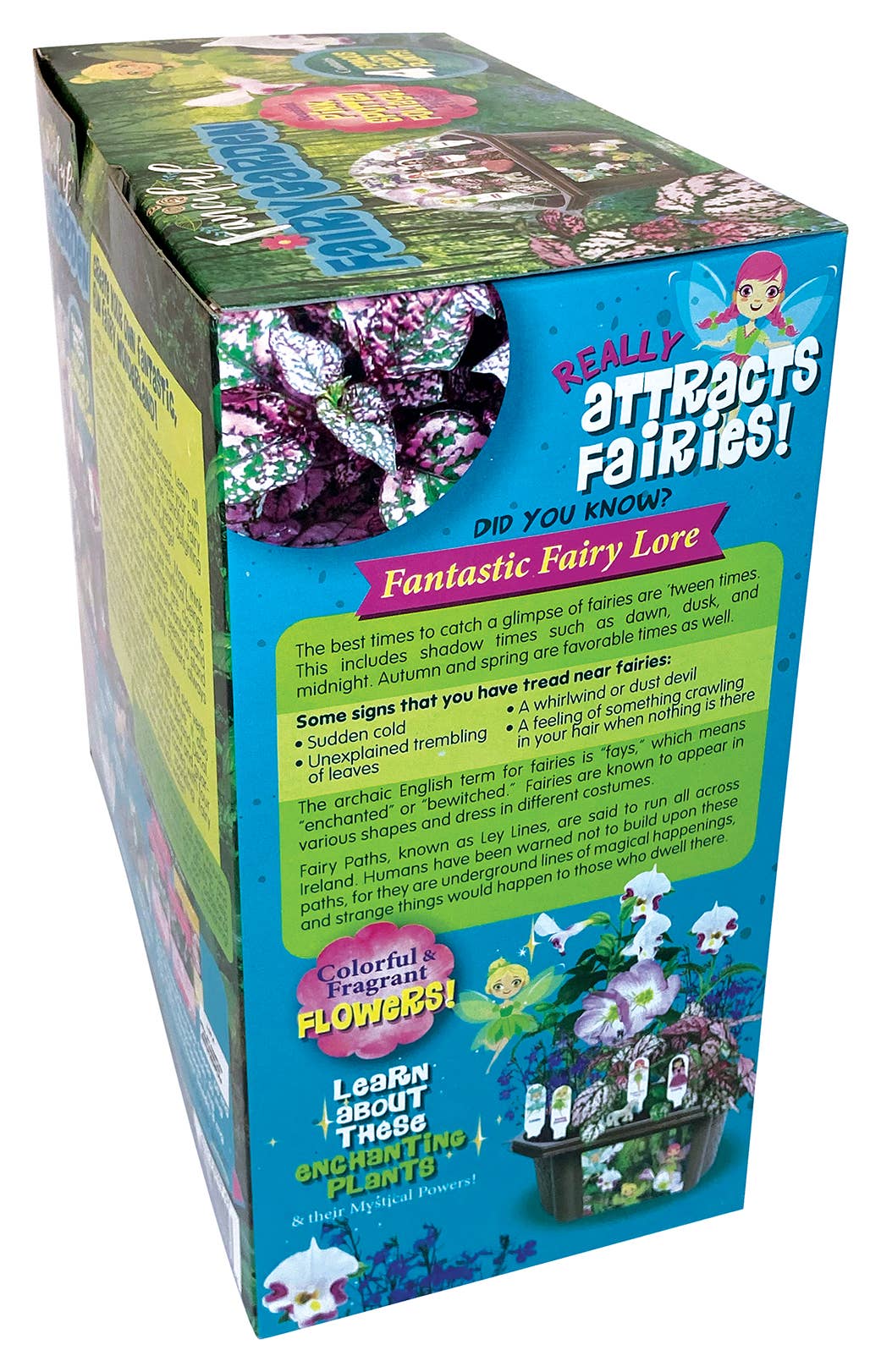 Fanciful Fairy Garden Biosphere