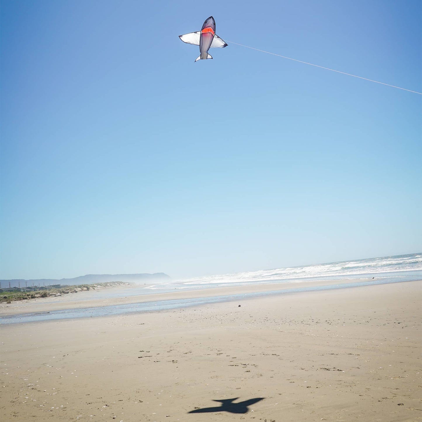 5' Realistic Shark Kite