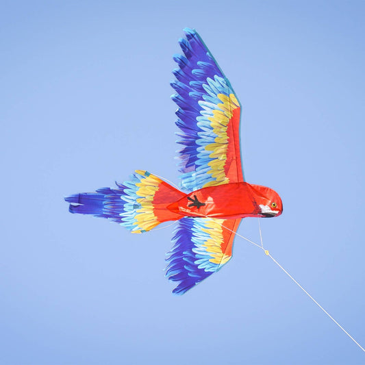 3D Parrot Kite