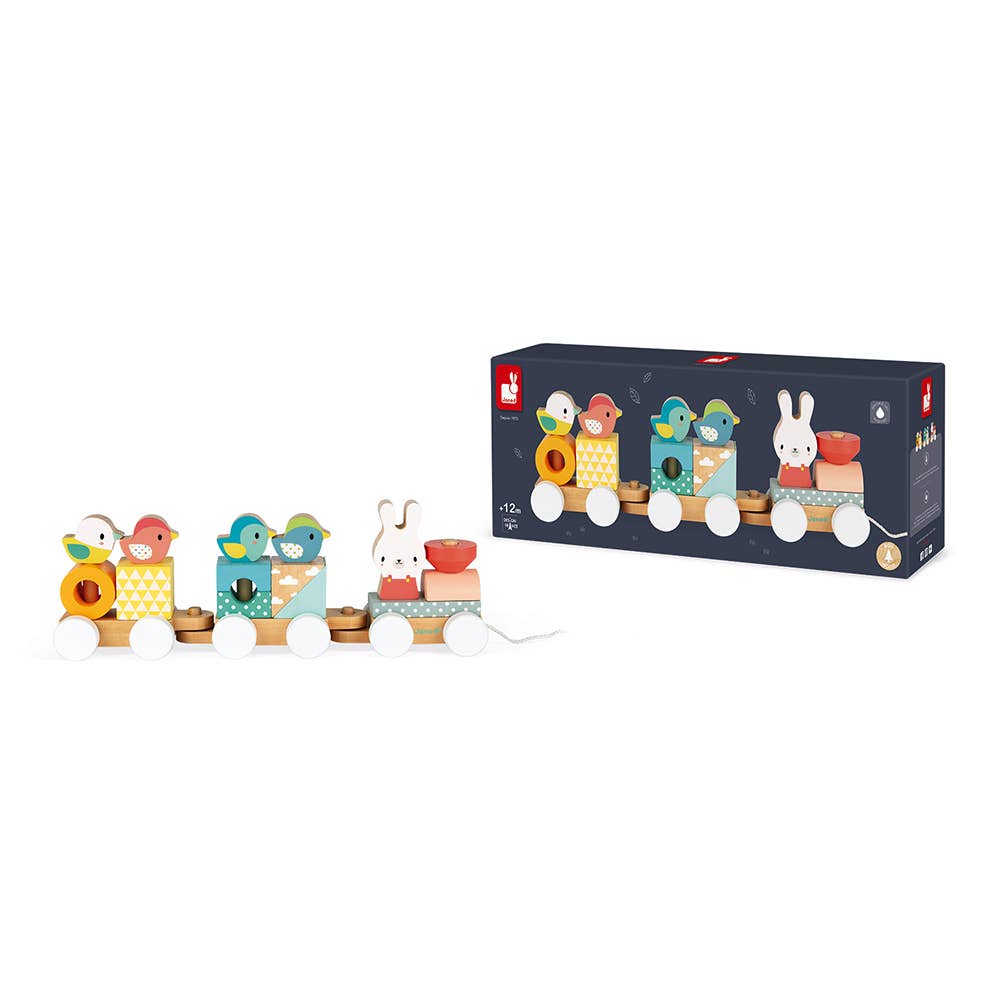 Pure | Train | Pull along | 17 pieces