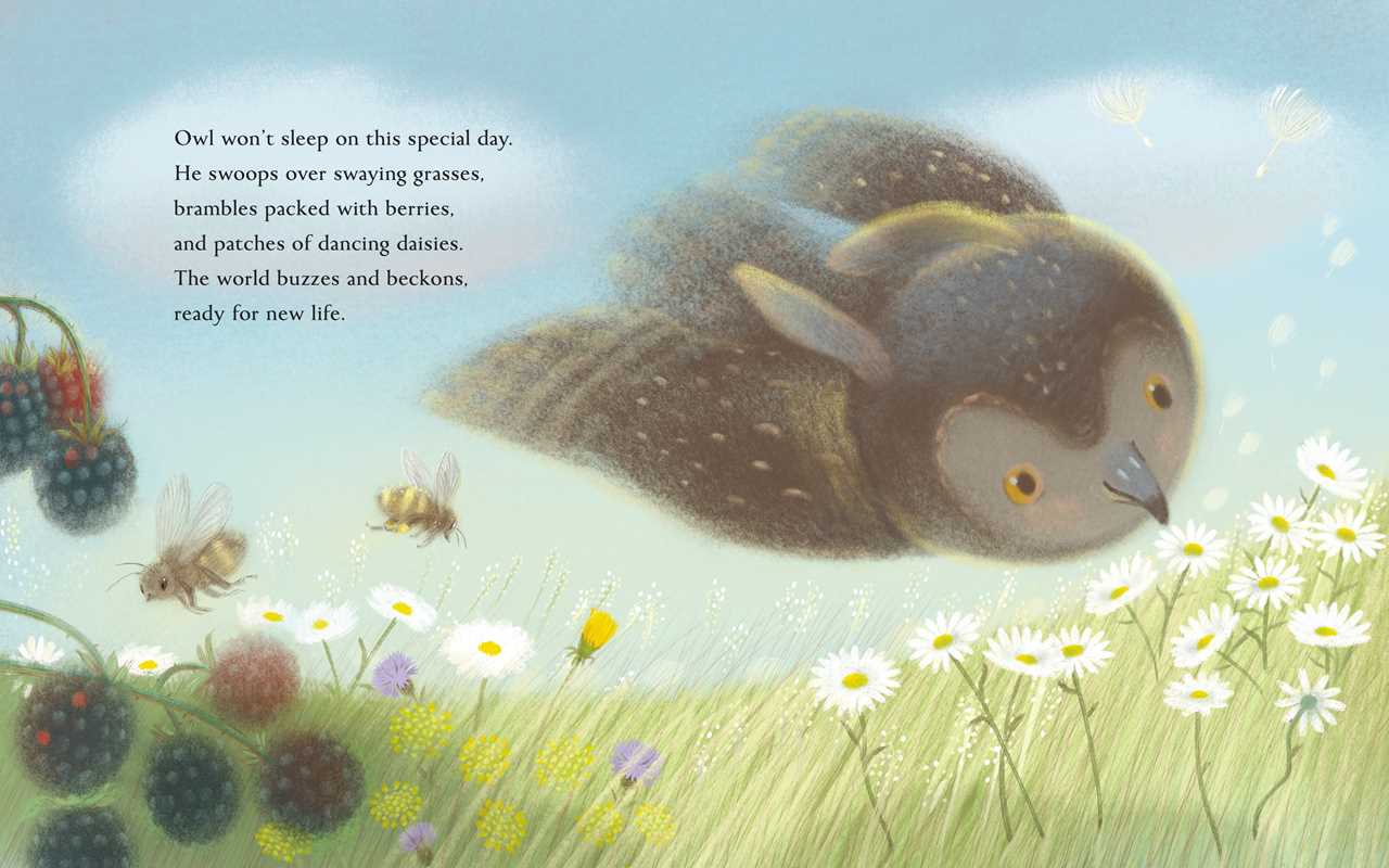 Summer by Kelsey E. Gross