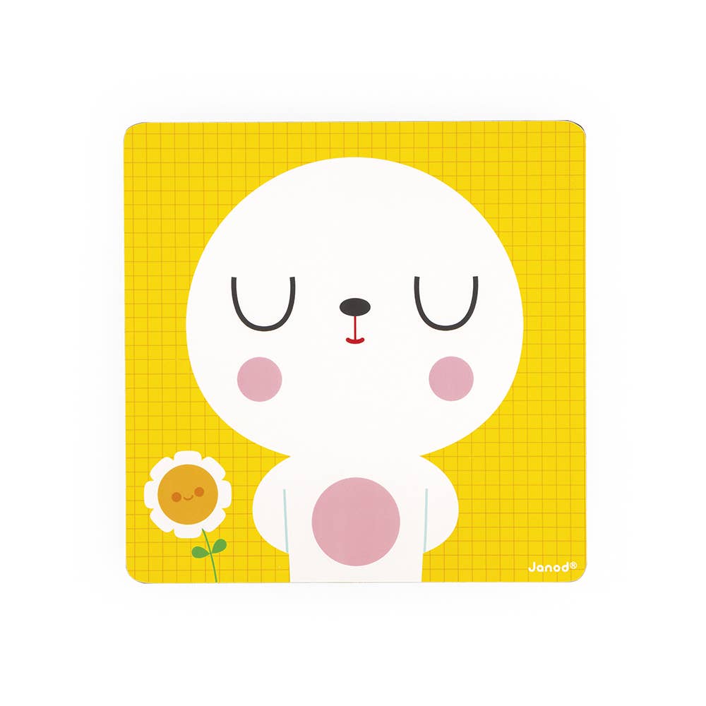 The Emotions Bear Magnetic Game