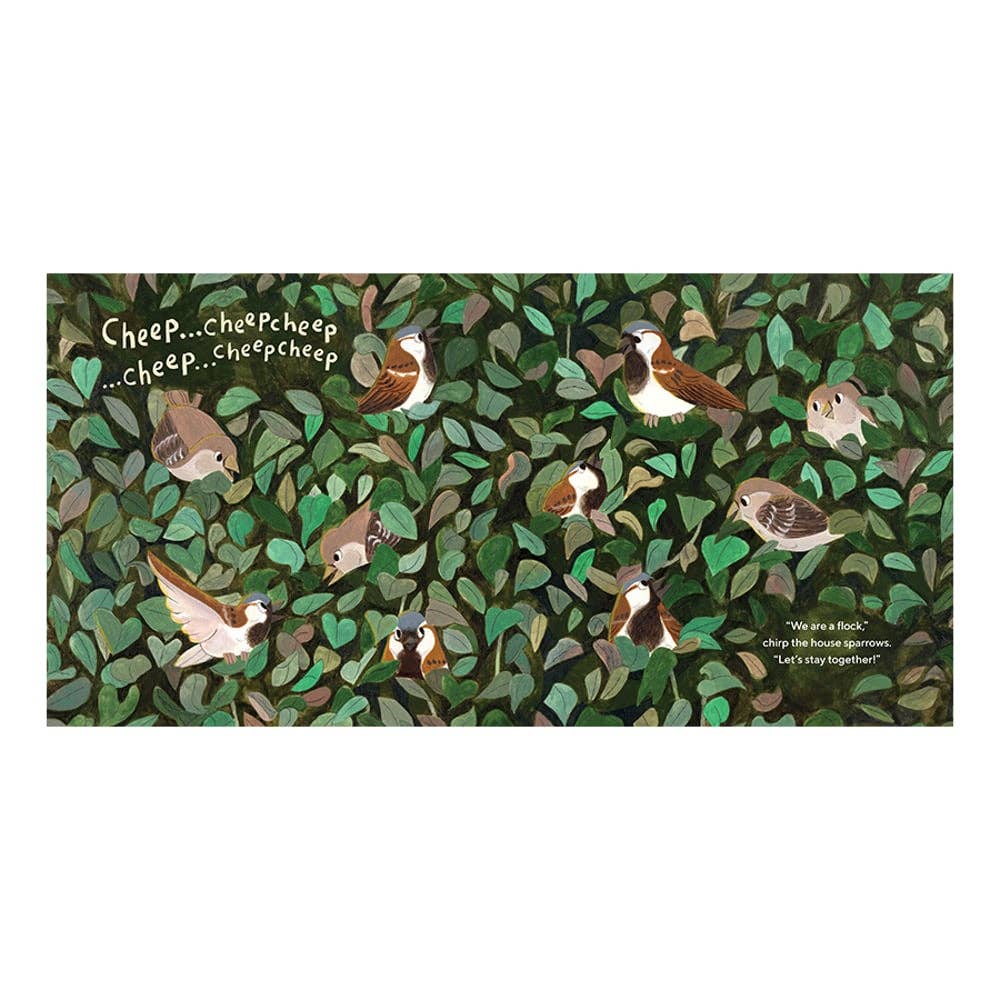 Birds Have A Lot to Say Picture Book for Children