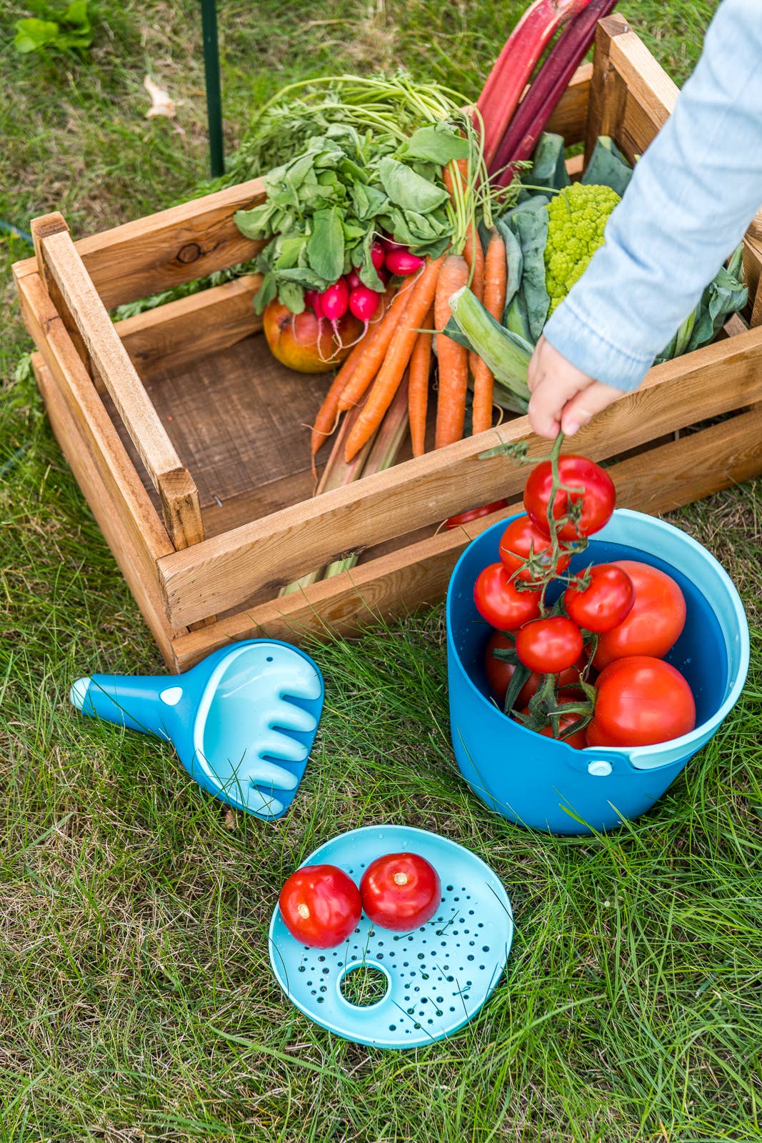 Bucki - Bucket & Sand Sifter. Cherry