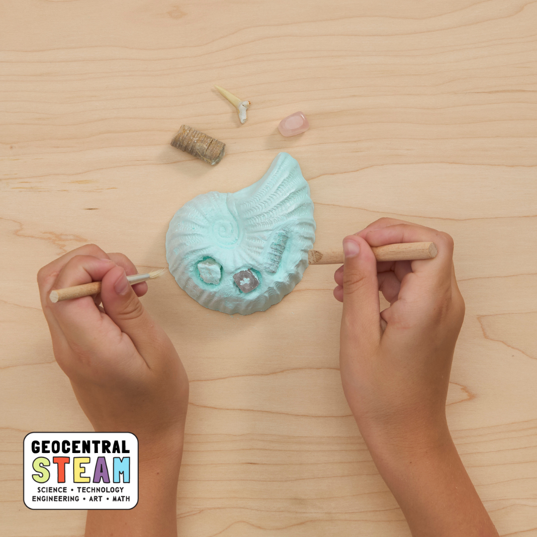 Ocean Treasure Dig Kit – STEAM Children’s Enrichment
