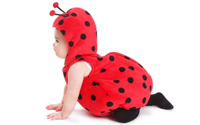 Infant Ladybug Ladybug Costume - Baby & Infant – Union Street Toys