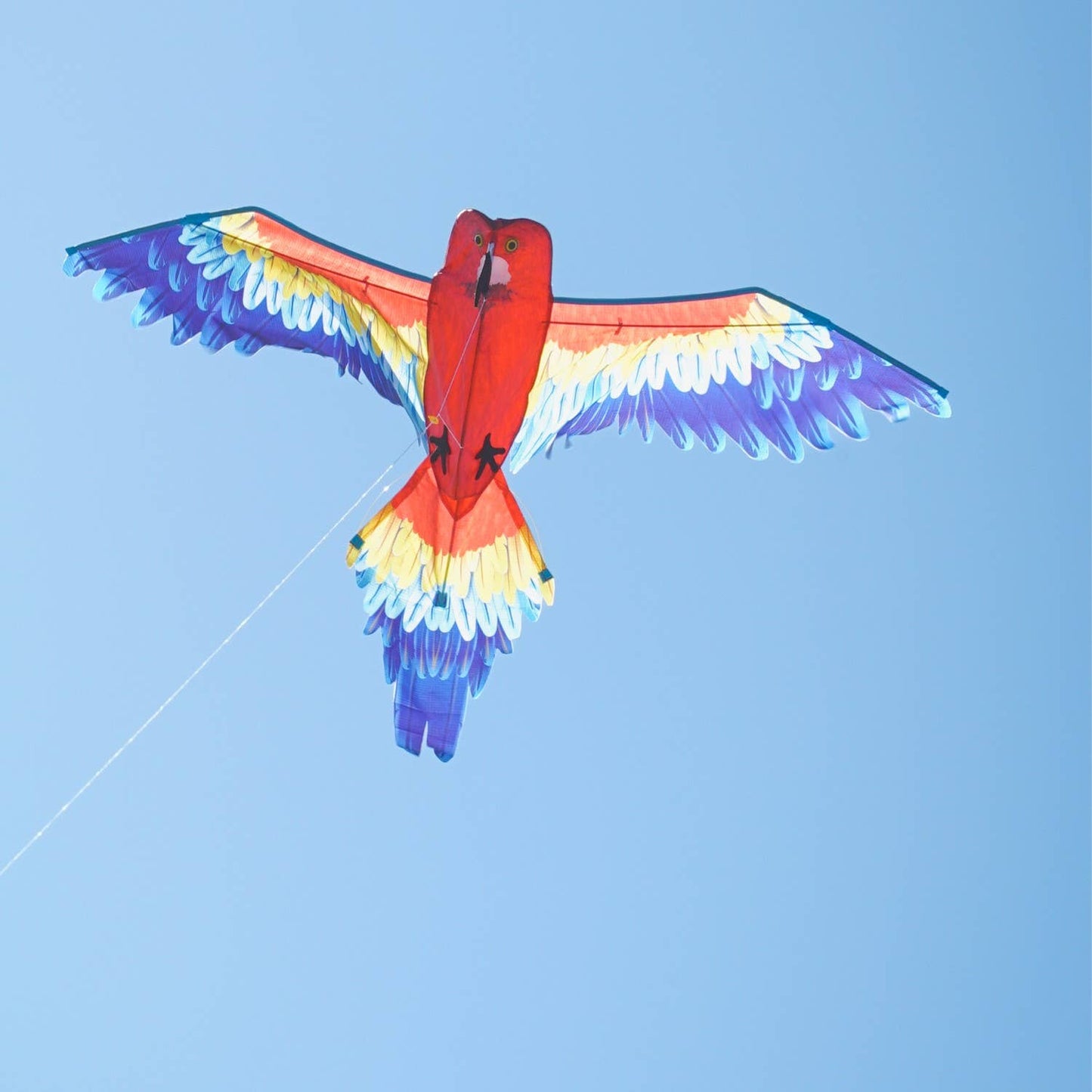 3D Parrot Kite