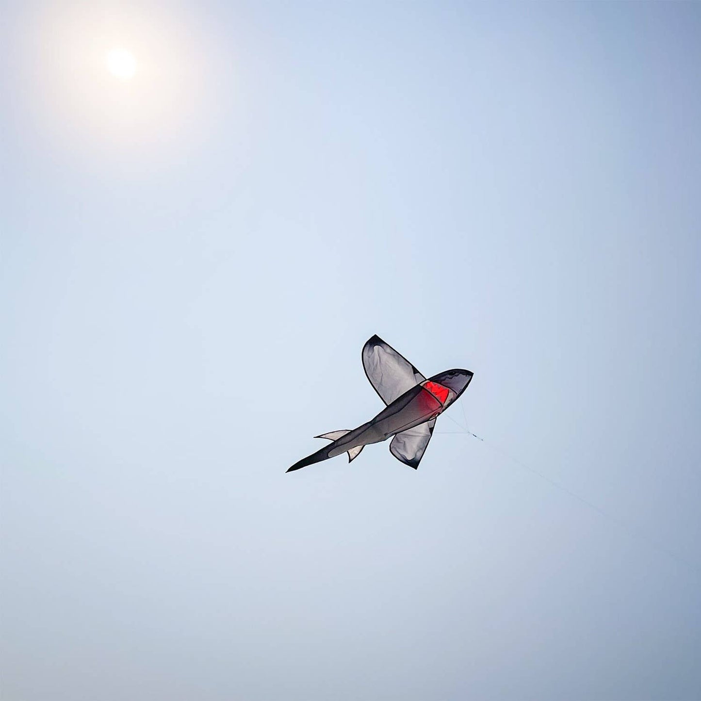 5' Realistic Shark Kite