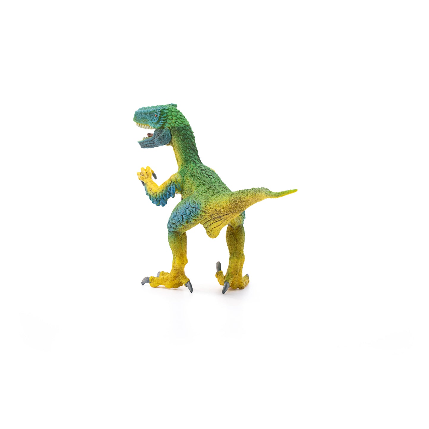 Velociraptor