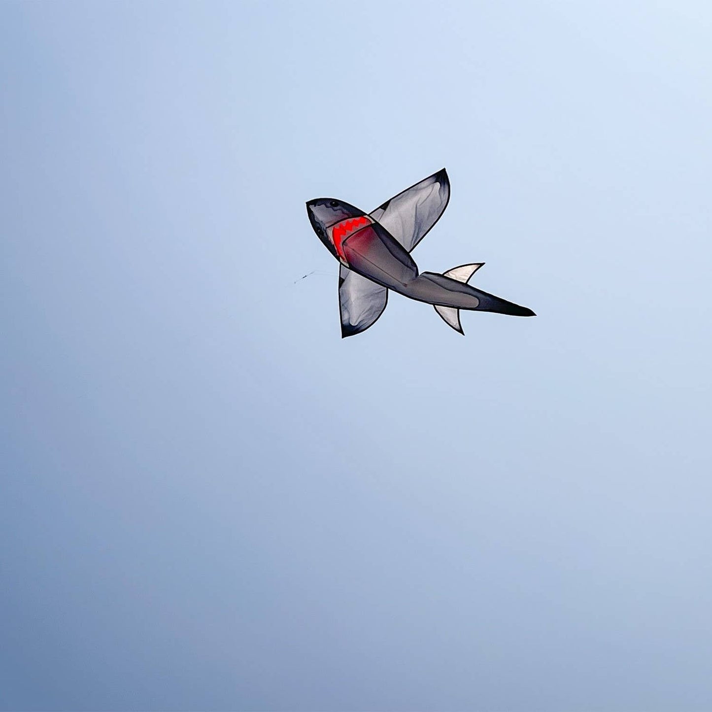 5' Realistic Shark Kite