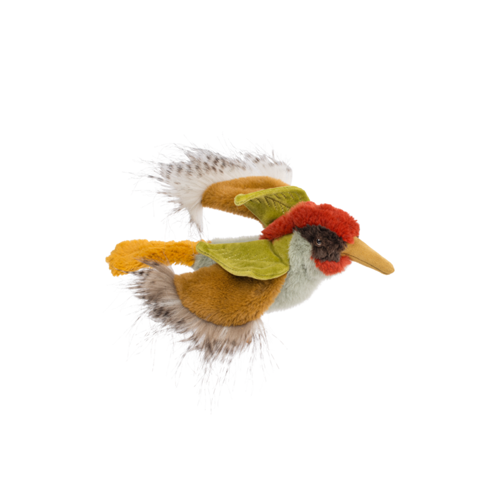 Green woodpecker - All Around the World