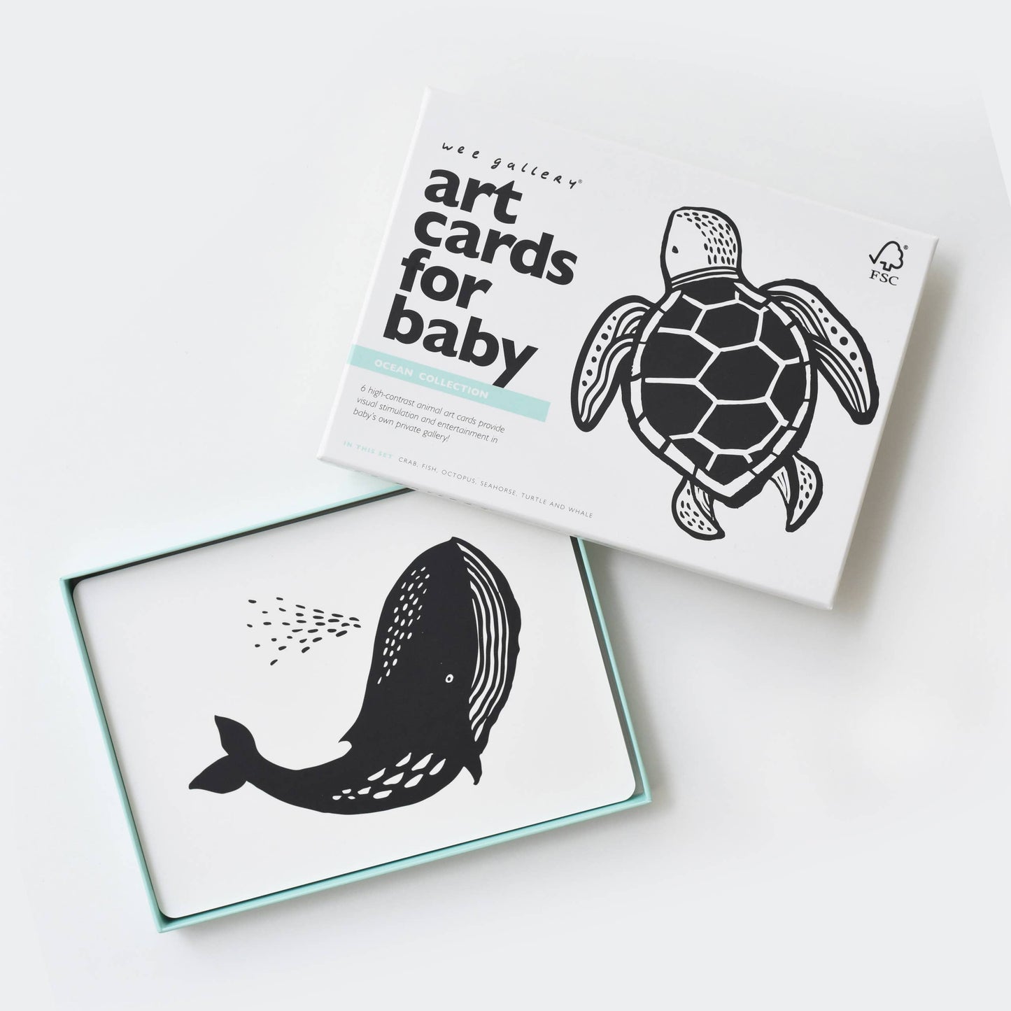 Art Cards for Baby - Ocean
