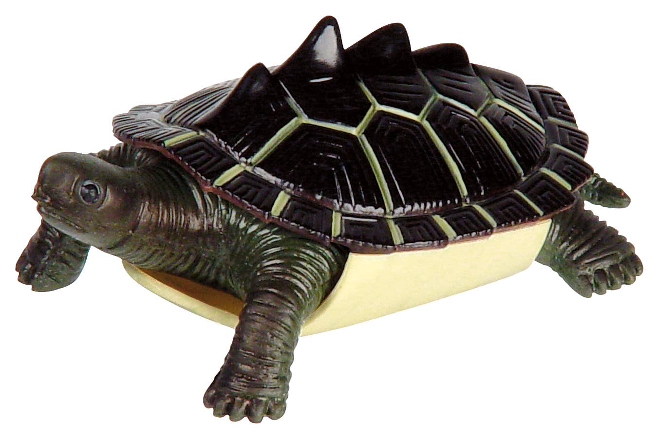 Turtle Squishamal