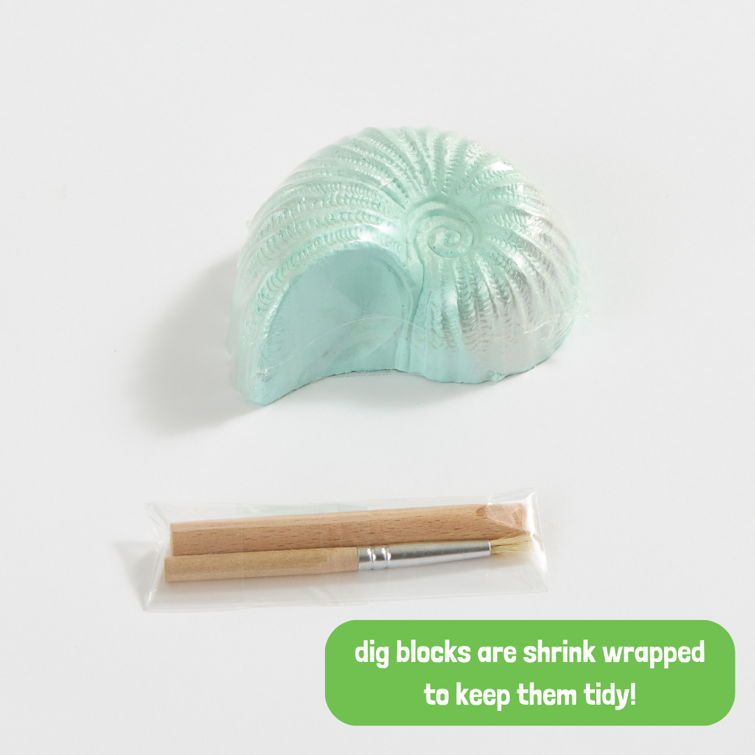 Ocean Treasure Dig Kit – STEAM Children’s Enrichment