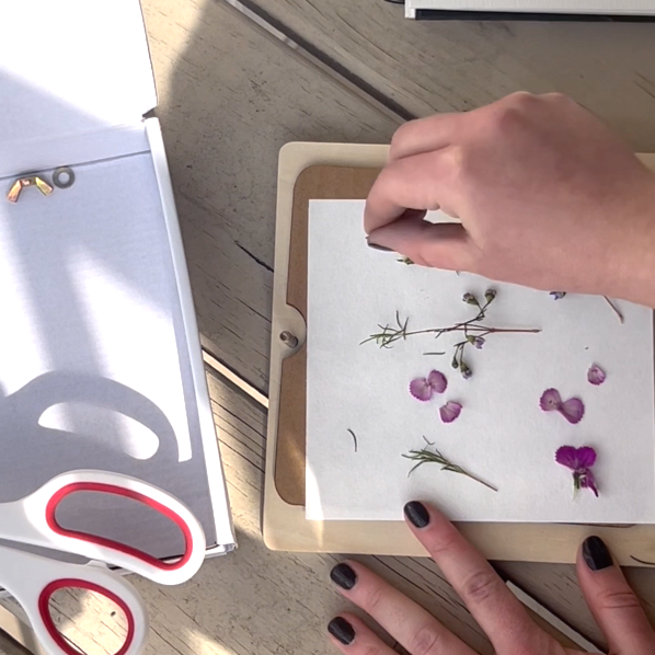 Flower Press - Simple & Effective DIY - Includes All Parts