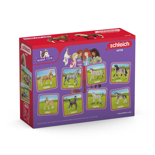 Horse Club Paso Peruano starter set