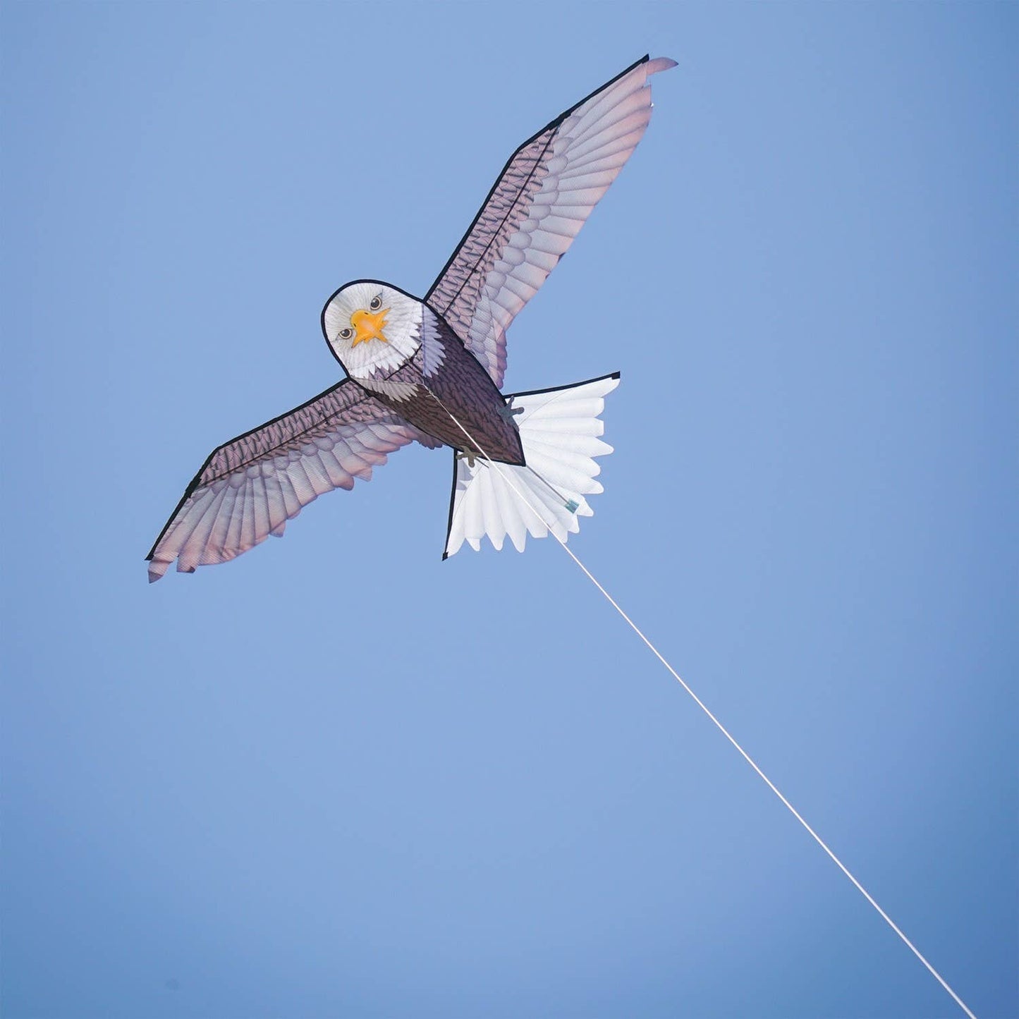 70" Bald Eagle Kite