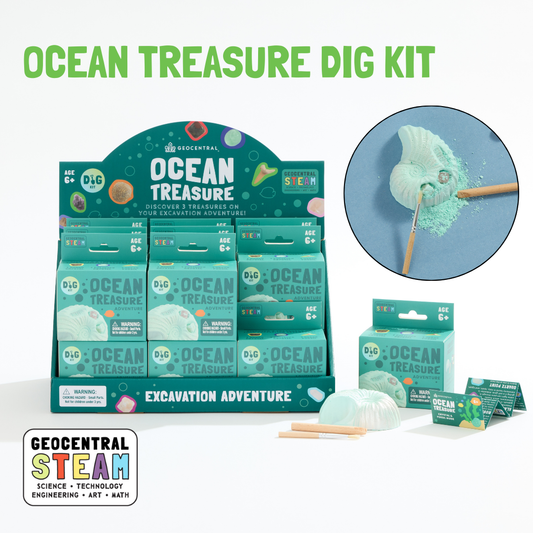 Ocean Treasure Dig Kit – STEAM Children’s Enrichment