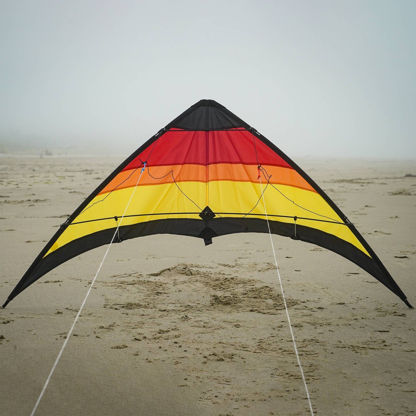 Sunset 55" Sport Kite