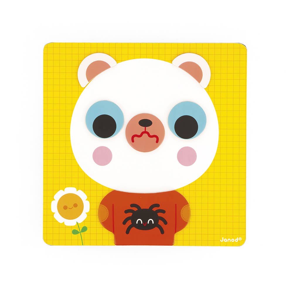 The Emotions Bear Magnetic Game