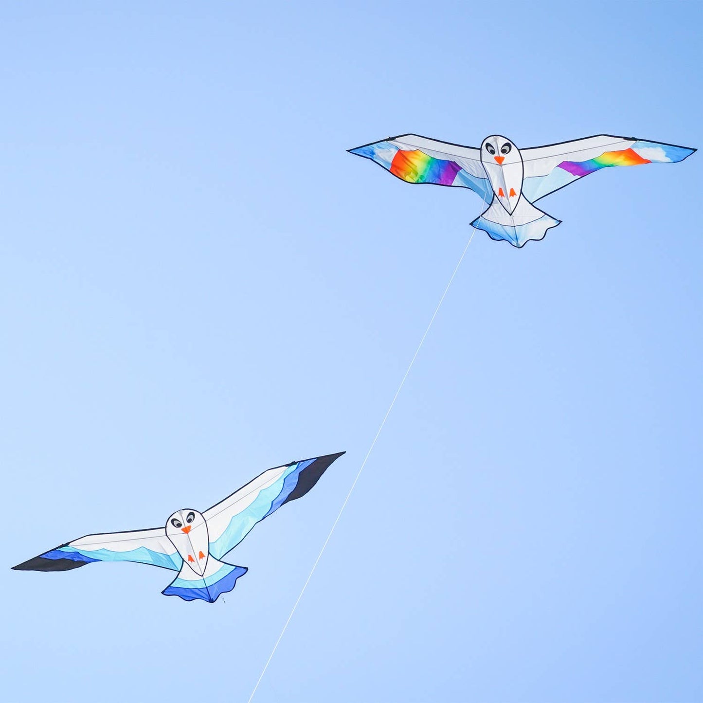 70" Blue Seabird Kite
