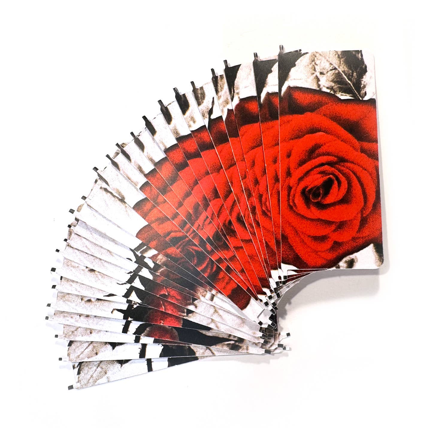 Fliposcope - Blooming Rose DIY FlipBook Machine Keepsake